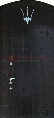 Металлическая арочная дверь ДА-22 высокого качества в Воскресенске