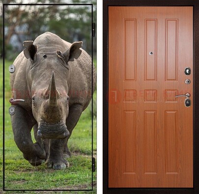 Металлическая дверь с фотопечатью носорога ДФ-31 в Воскресенске
