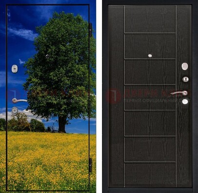 Железная дверь с фотопечатью дерева в поле ДФ-36 в Воскресенске