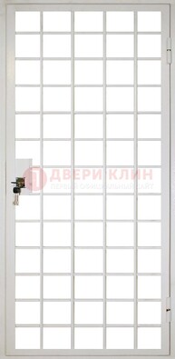 Белая металлическая решетчатая дверь ДР-2 в Воскресенске